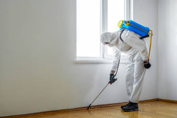 Indoor Pest Control in Tilton Northfield, NH